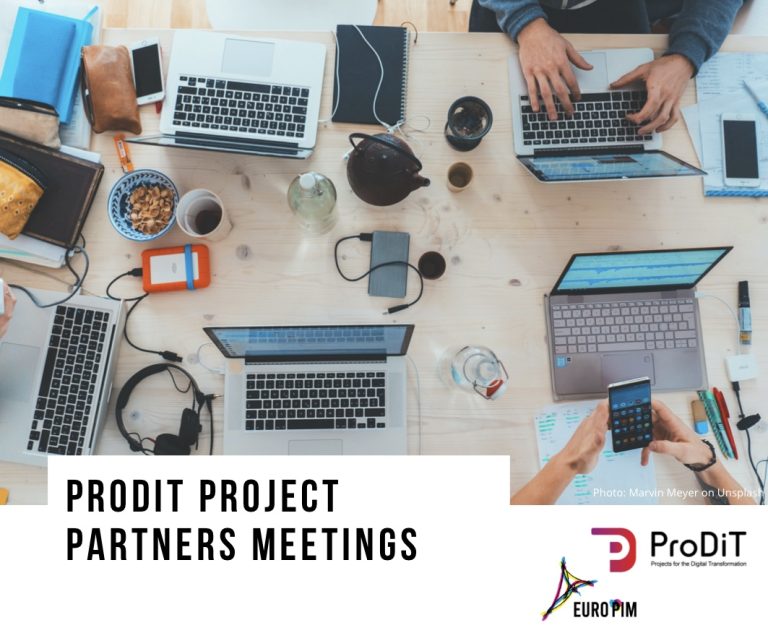 Read more about the article ProDiT Project is heading to our business partners!